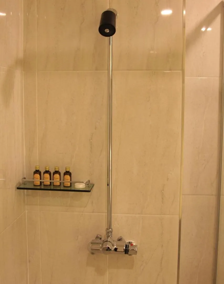 ***  Floral Hotel Namsan City Seoul Myeongdong Corea del Sur
